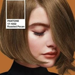 Goedkoopste 🛒 SYOSS Colors Pantone Haarverf 6-66 Roasted Pecan - 1 Stuk 🧨