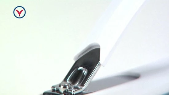 Begroting β Vitility Nagelknipper π₯ 2 Begroting β Vitility Nagelknipper π₯ - Afbeelding 2