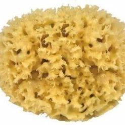 Aanbiedingen ✨ Croll En Denecke Natuurspons 16 Cm 🌟