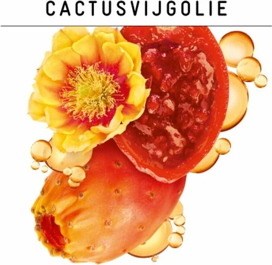 Promo π 4x Guhl Vochtherstel Spray 180 Ml 𧨠3 Promo π 4x Guhl Vochtherstel Spray 180 Ml 𧨠- Afbeelding 3