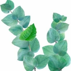 Begroting ๐ Kneipp Refreshing - Douche Scrub ๐ฅ 11 Begroting ๐ Kneipp Refreshing - Douche Scrub ๐ฅ -BRAUN Shop 550x564 5